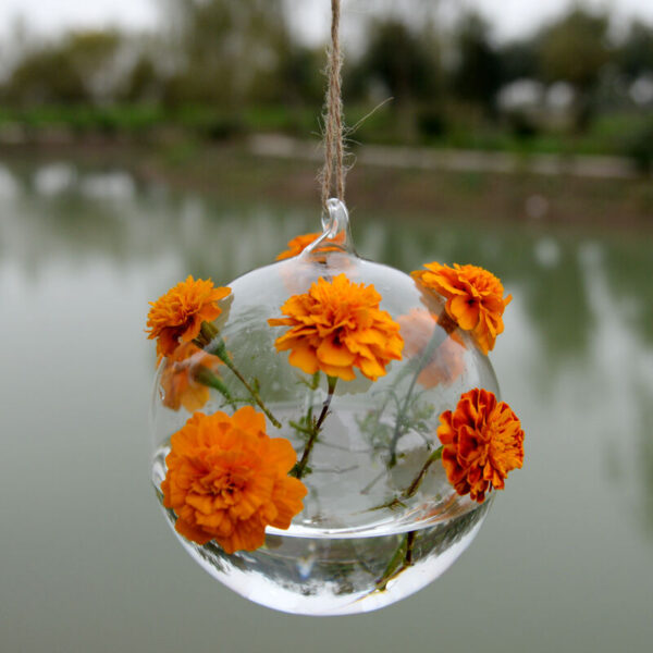 Hanging Vase Planter