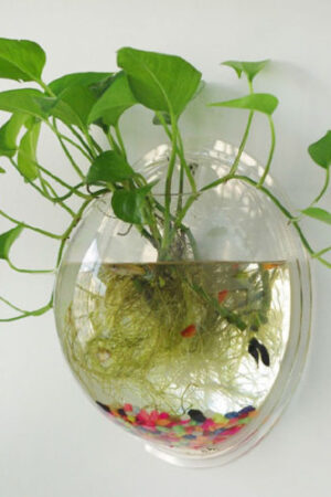 Hanging Glass Ball Vase