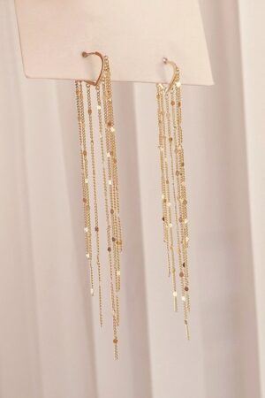 Long Tassel Earrings