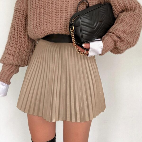 Black Pleated Mini Skirts